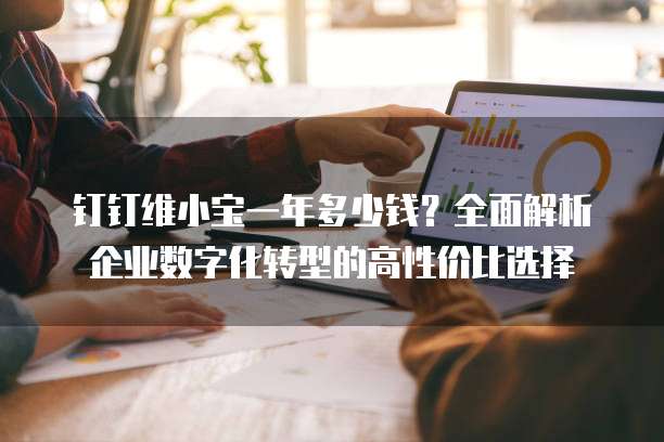 钉钉维小宝一年多少钱?全面解析企业数字化转型的高性价比选择