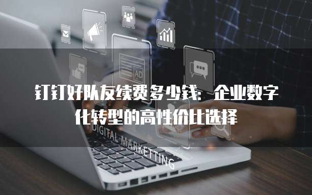 钉钉好队友续费多少钱：企业数字化转型的高性价比选择