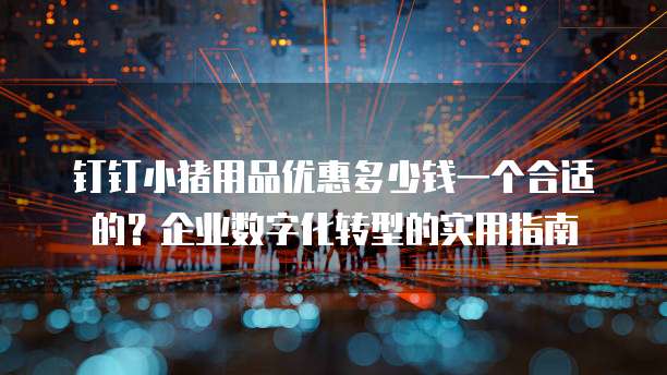 钉钉小猪用品优惠多少钱一个合适的?企业数字化转型的实用指南