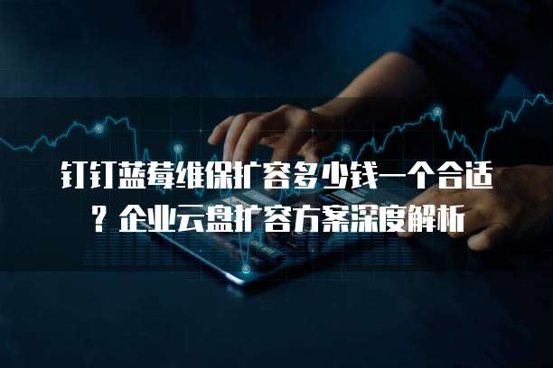 钉钉蓝莓维保扩容多少钱一个合适？企业云盘扩容方案深度解析
