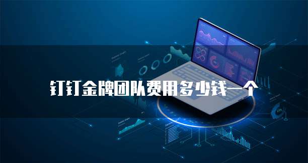 钉钉金牌团队费用多少钱一个