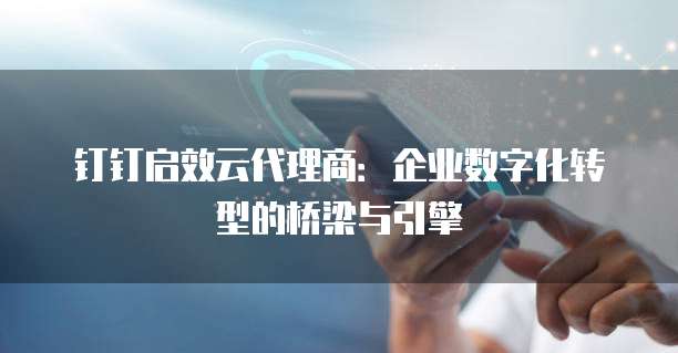钉钉启效云代理商：企业数字化转型的桥梁与引擎