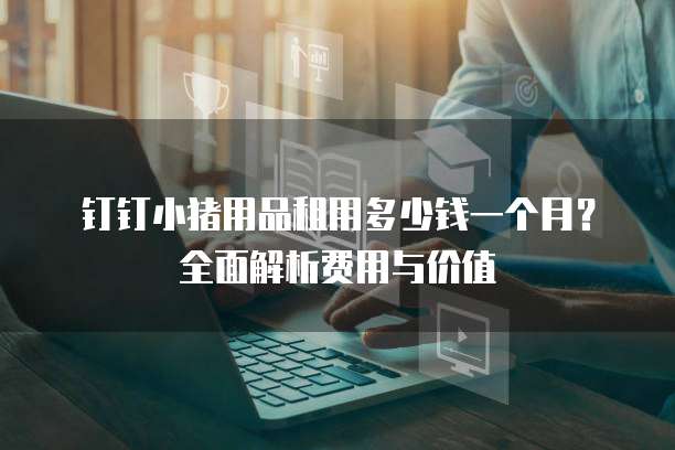 钉钉小猪用品租用多少钱一个月？全面解析费用与价值