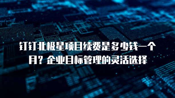 钉钉北极星项目续费是多少钱一个月?企业目标管理的灵活选择