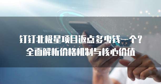 钉钉北极星项目返点多少钱一个?全面解析价格机制与核心价值