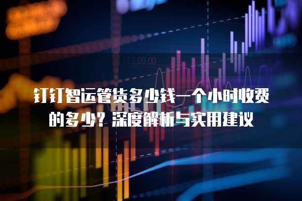 钉钉智运管货多少钱一个小时收费的多少?深度解析与实用建议
