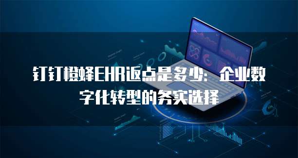 钉钉橙蜂EHR返点是多少:企业数字化转型的务实选择