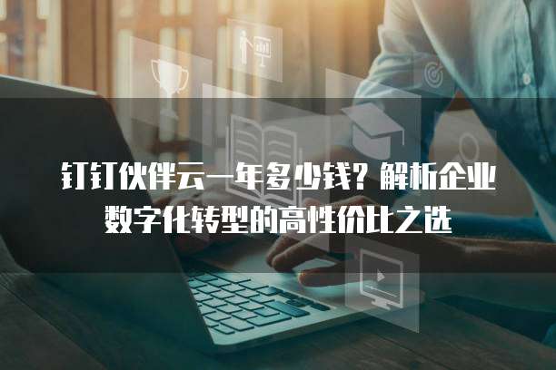 钉钉伙伴云一年多少钱?解析企业数字化转型的高性价比之选