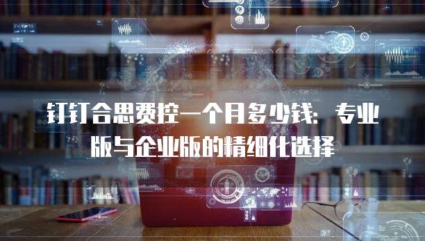 钉钉合思费控一个月多少钱:专业版与企业版的精细化选择