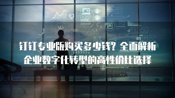 钉钉专业版购买多少钱?全面解析企业数字化转型的高性价比选择