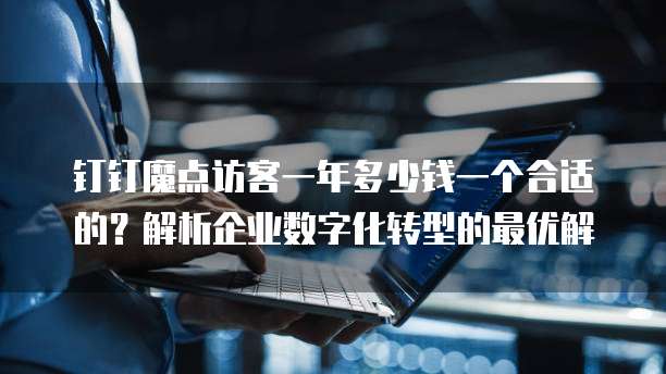 钉钉魔点访客一年多少钱一个合适的?解析企业数字化转型的最优解
