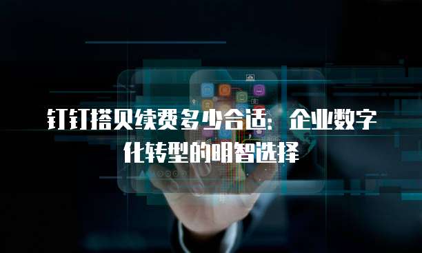 钉钉搭贝续费多少合适：企业数字化转型的明智选择
