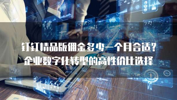 钉钉精品版佣金多少一个月合适？企业数字化转型的高性价比选择
