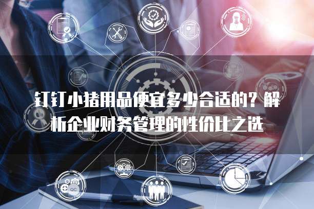 钉钉小猪用品便宜多少合适的?解析企业财务管理的性价比之选