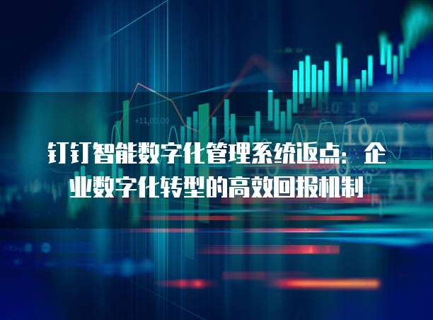 钉钉智能数字化管理系统返点：企业数字化转型的高效回报机制