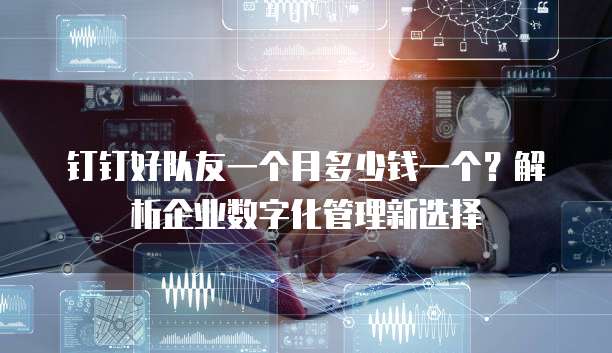 钉钉好队友一个月多少钱一个?解析企业数字化管理新选择