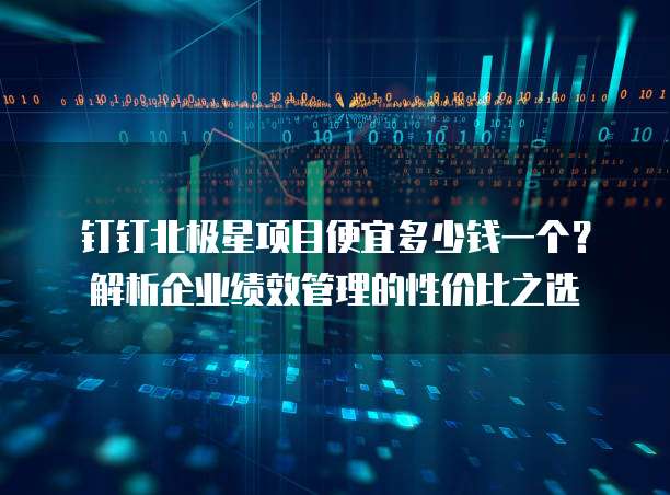 钉钉北极星项目便宜多少钱一个?解析企业绩效管理的性价比之选