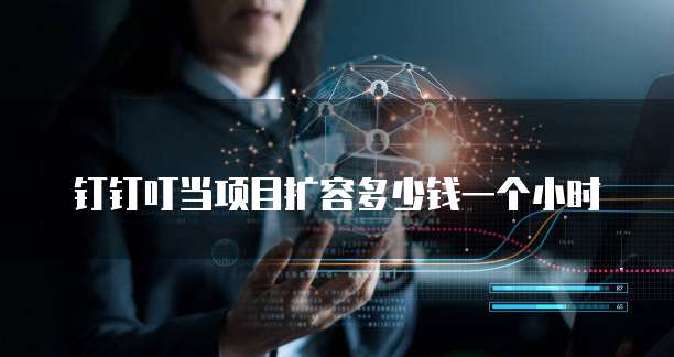 钉钉叮当项目扩容多少钱一个小时