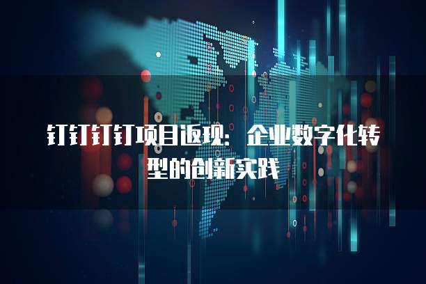 钉钉钉钉项目返现:企业数字化转型的创新实践