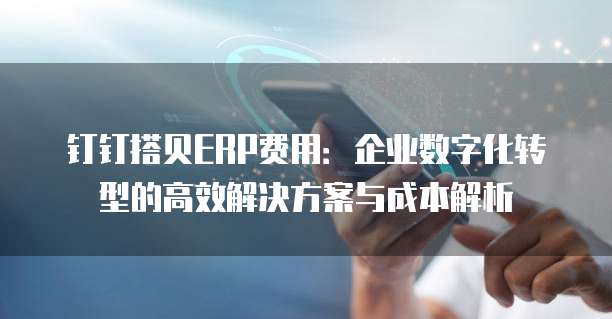 钉钉搭贝ERP费用：企业数字化转型的高效解决方案与成本解析