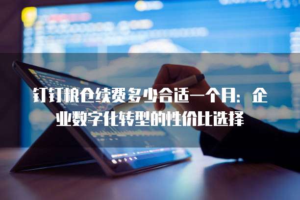 钉钉粮仓续费多少合适一个月：企业数字化转型的性价比选择