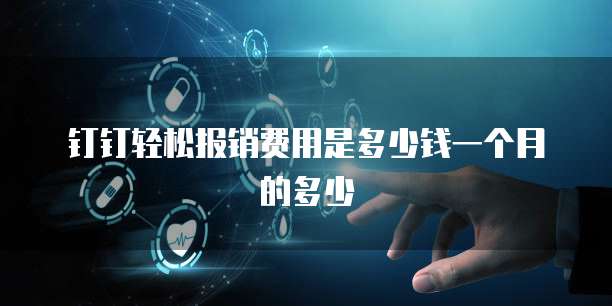 钉钉轻松报销费用是多少钱一个月的多少