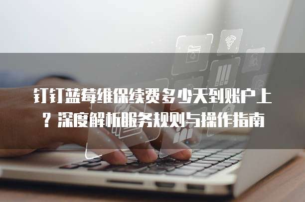 钉钉蓝莓维保续费多少天到账户上?深度解析服务规则与操作指南