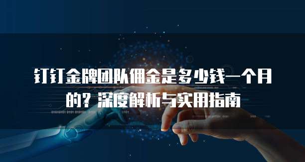 钉钉金牌团队佣金是多少钱一个月的?深度解析与实用指南