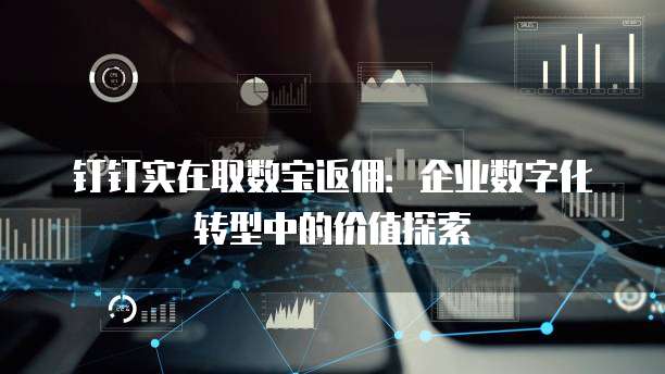 钉钉实在取数宝返佣：企业数字化转型中的价值探索