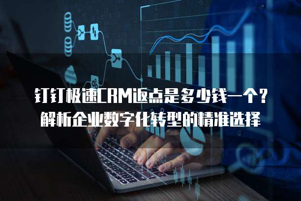 钉钉极速CRM返点是多少钱一个?解析企业数字化转型的精准选择