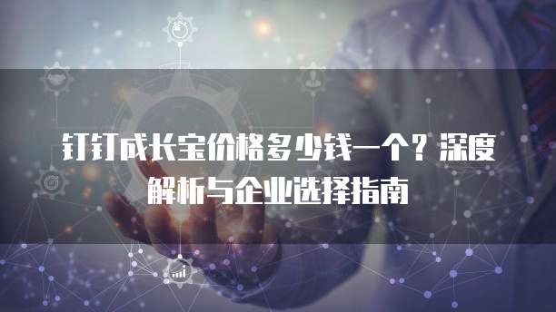 钉钉成长宝价格多少钱一个？深度解析与企业选择指南