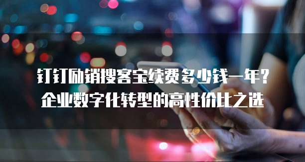 钉钉励销搜客宝续费多少钱一年？企业数字化转型的高性价比之选