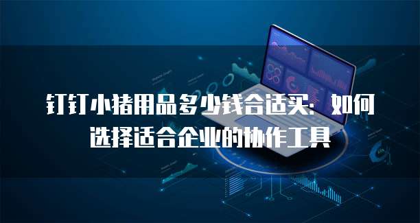 钉钉小猪用品多少钱合适买:如何选择适合企业的协作工具