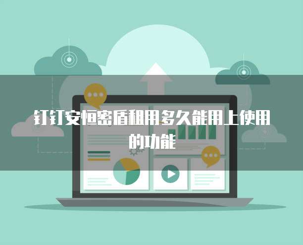 钉钉安恒密盾租用多久能用上使用的功能