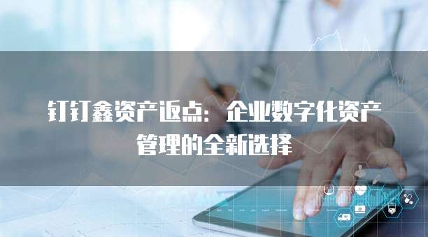 钉钉鑫资产返点：企业数字化资产管理的全新选择