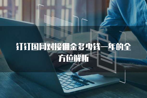 钉钉国网对接佣金多少钱一年的全方位解析