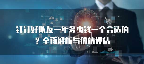 钉钉好队友一年多少钱一个合适的?全面解析与价值评估