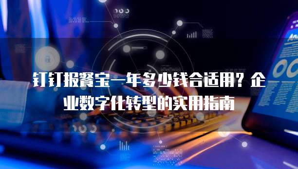 钉钉报餐宝一年多少钱合适用？企业数字化转型的实用指南