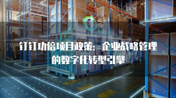 钉钉功倍项目政策:企业战略管理的数字化转型引擎