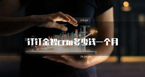 钉钉金智crm多少钱一个月