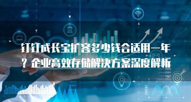 钉钉成长宝扩容多少钱合适用一年？企业高效存储解决方案深度解析