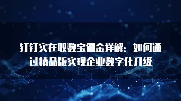钉钉实在取数宝佣金详解：如何通过精品版实现企业数字化升级