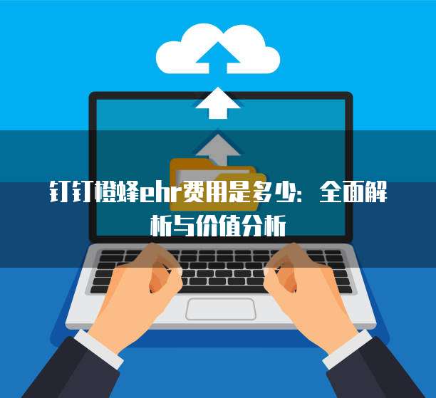 钉钉橙蜂ehr费用是多少:全面解析与价值分析