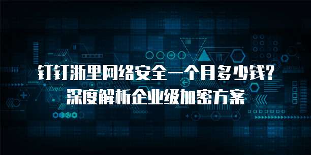 钉钉浙里网络安全一个月多少钱?深度解析企业级加密方案