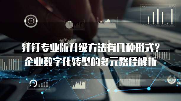 钉钉专业版升级方法有几种形式？企业数字化转型的多元路径解析