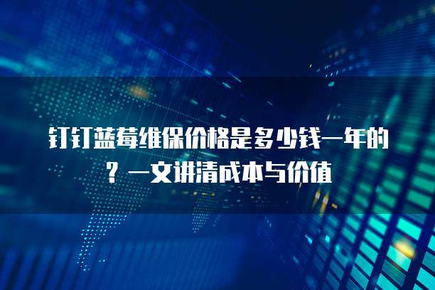 钉钉蓝莓维保价格是多少钱一年的?一文讲清成本与价值