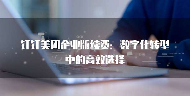 钉钉美团企业版续费：数字化转型中的高效选择