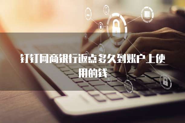 钉钉网商银行返点多久到账户上使用的钱