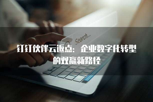 钉钉伙伴云返点:企业数字化转型的双赢新路径