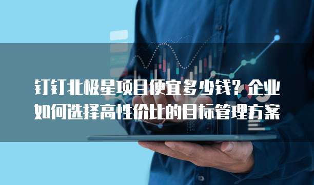 钉钉北极星项目便宜多少钱？企业如何选择高性价比的目标管理方案